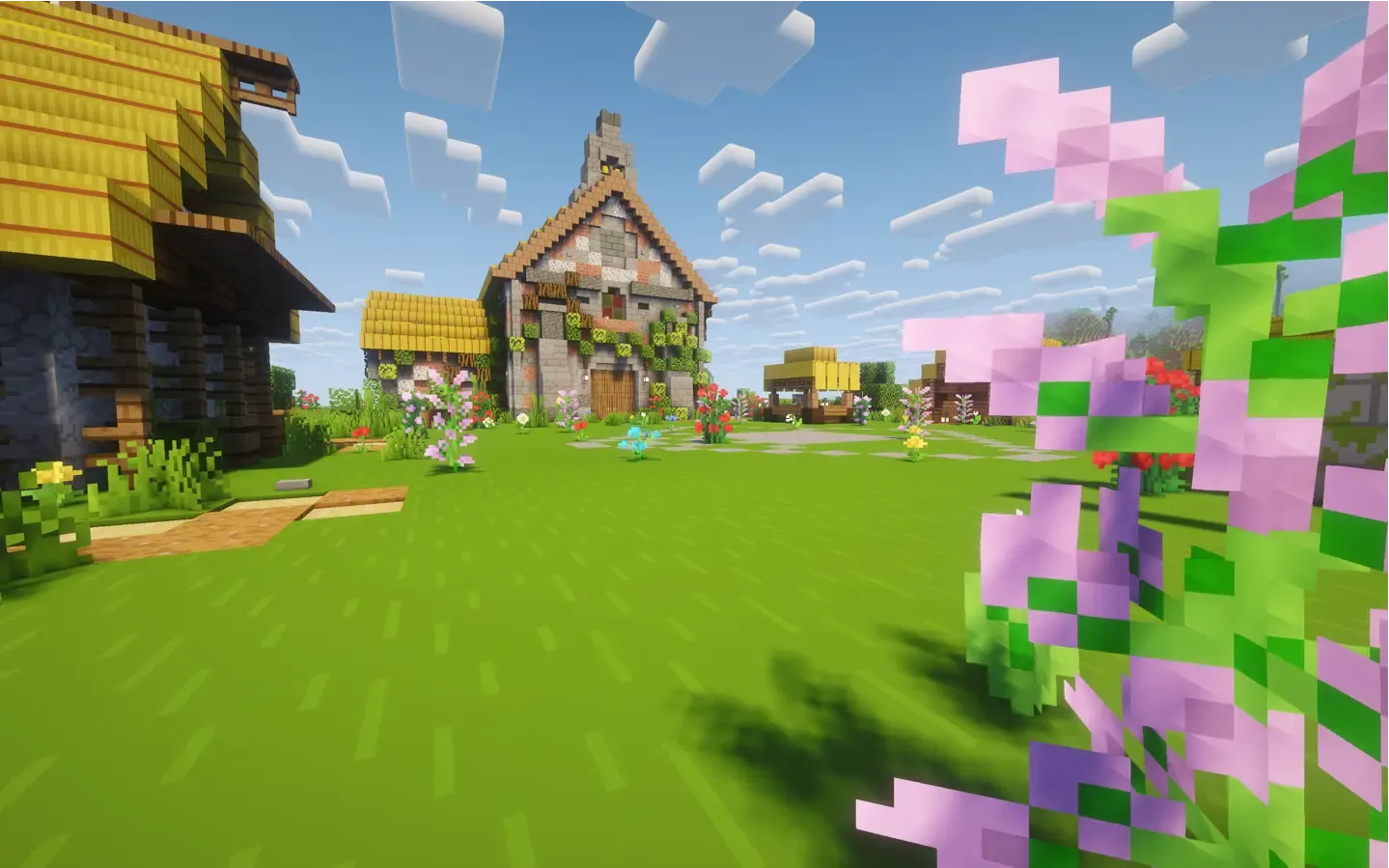 Opening of a New Minecraft Server